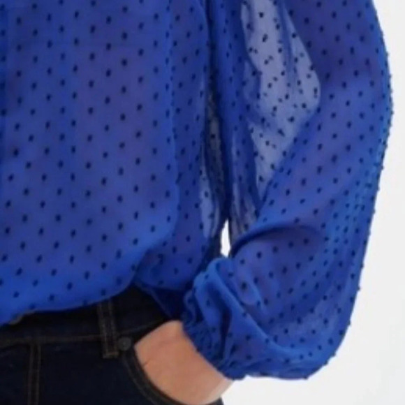 Ann Taylor Swiss Dot Sheer Top Blue size XL - Picture 4 of 4